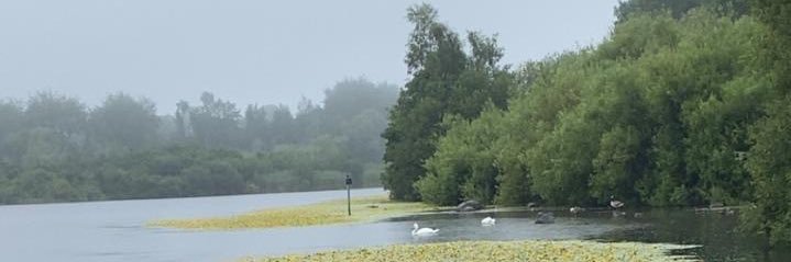 αвɒυℓℓαн banner