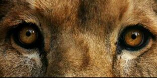 downwithCZ's profile banner image