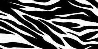 SmSuaidy's profile banner image