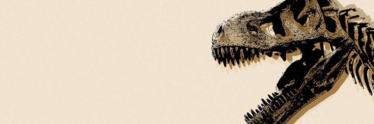 • Rabtor • banner