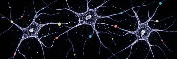 CogNeuroGeek's profile banner image
