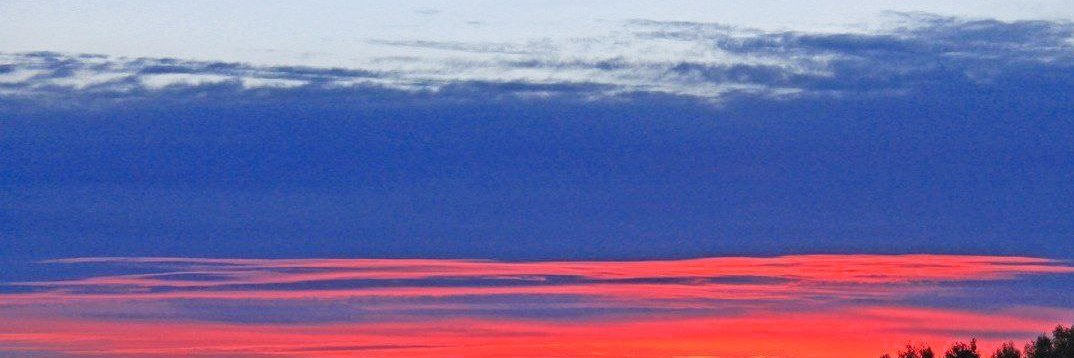 Vladimir Petrović banner