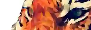ODourte's profile banner image