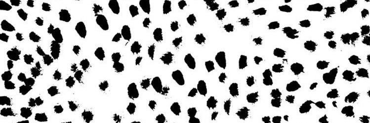 Chloe_halverson's profile banner image