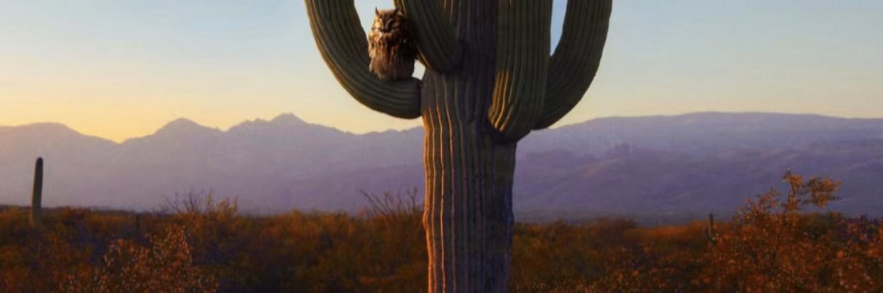 andreaandymore's profile banner image