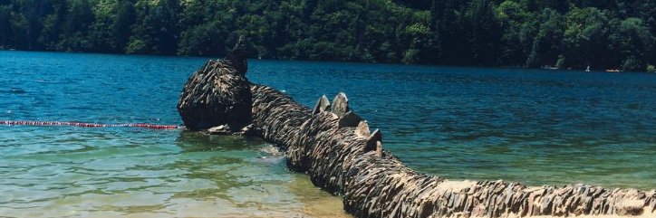 Dowisetrepla's profile banner image
