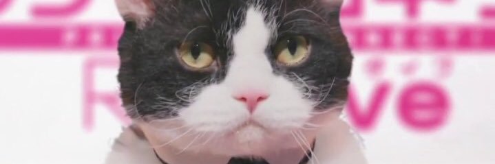 tsuchiura111's profile banner image