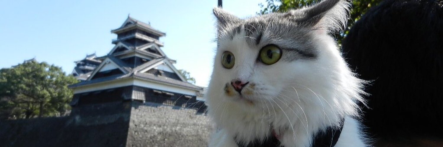 nyanmaru112225's profile banner image