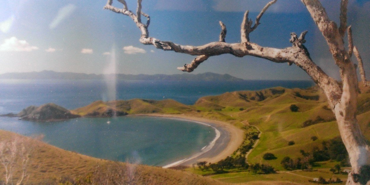 James Bews-Hair banner