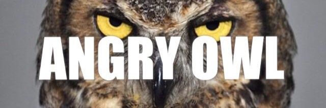 laticsowl57's profile banner image