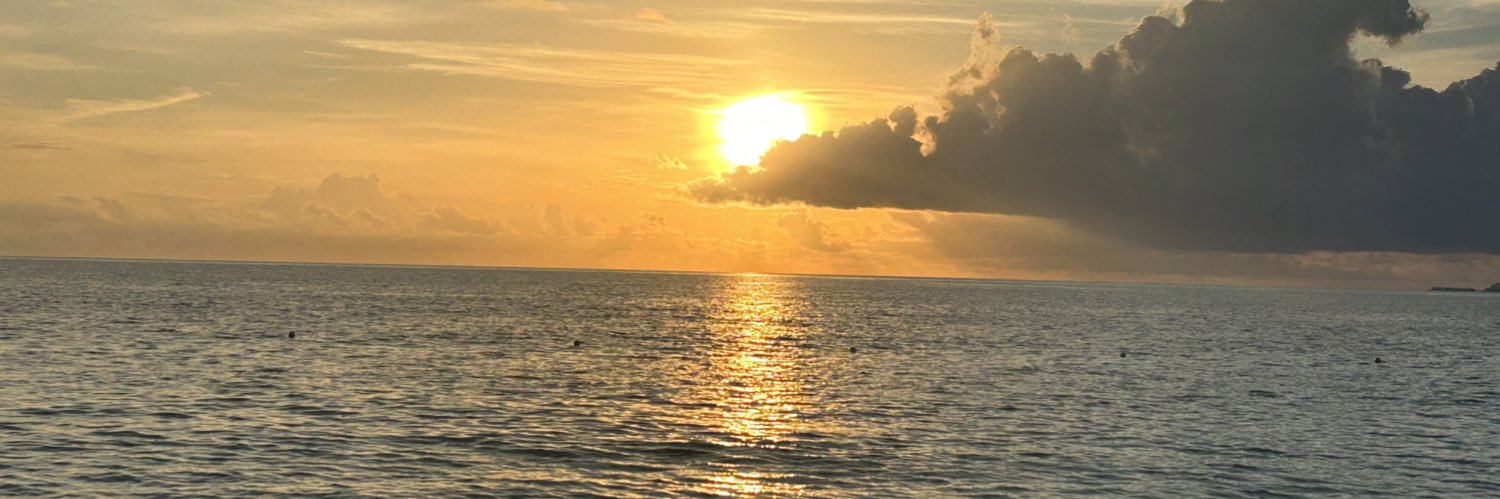 omgitssylvia_'s profile banner image