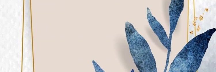 anyialvarez044's profile banner image