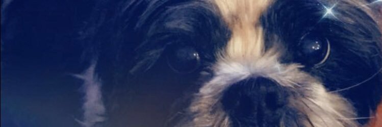 Karen banner