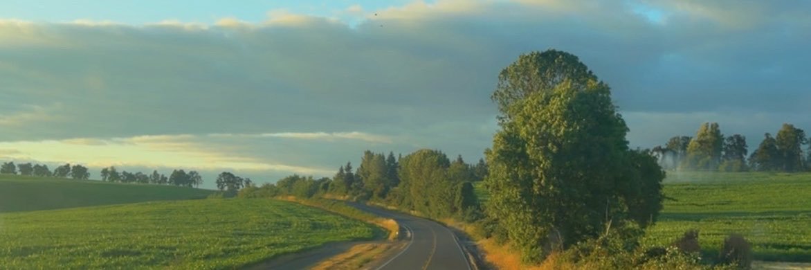osha7__'s profile banner image
