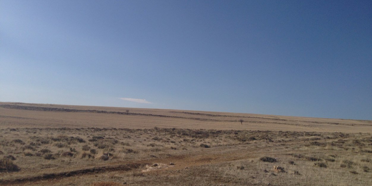 Veli Nişancı banner