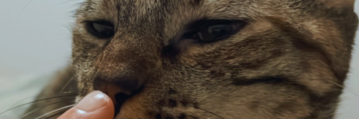 cemc__9's profile banner image