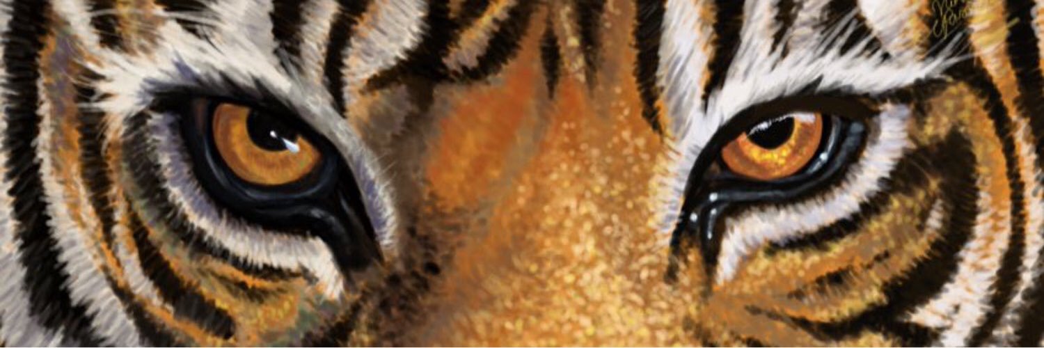 lgjudd's profile banner image