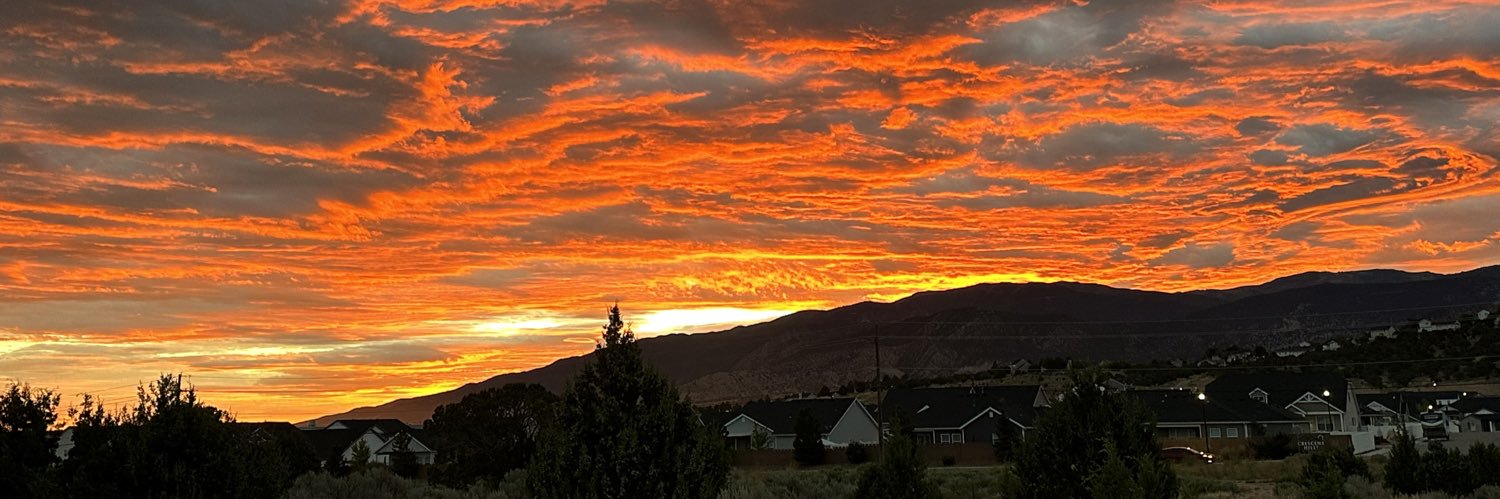 Megan Kelling banner