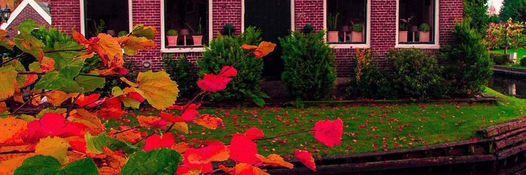 HanadiTweets's profile banner image