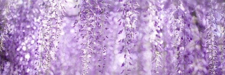 marble_cosmos's profile banner image