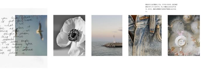 ꕤ banner