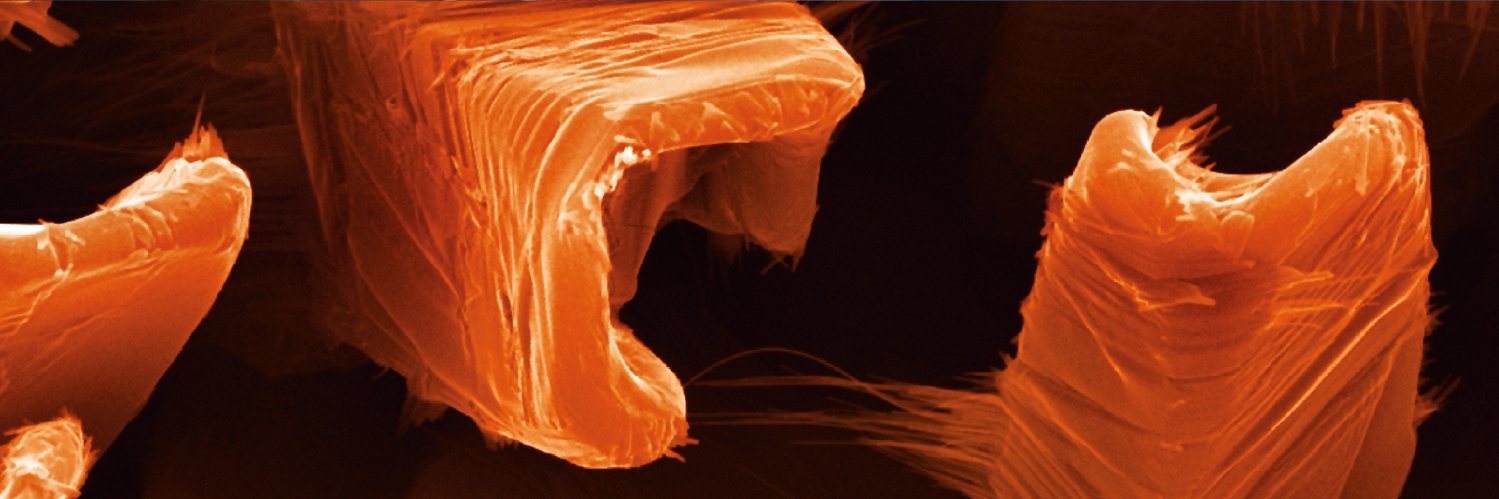 PWMaterials's profile banner image