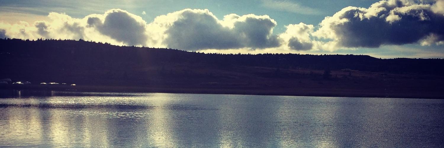 dorteba's profile banner image