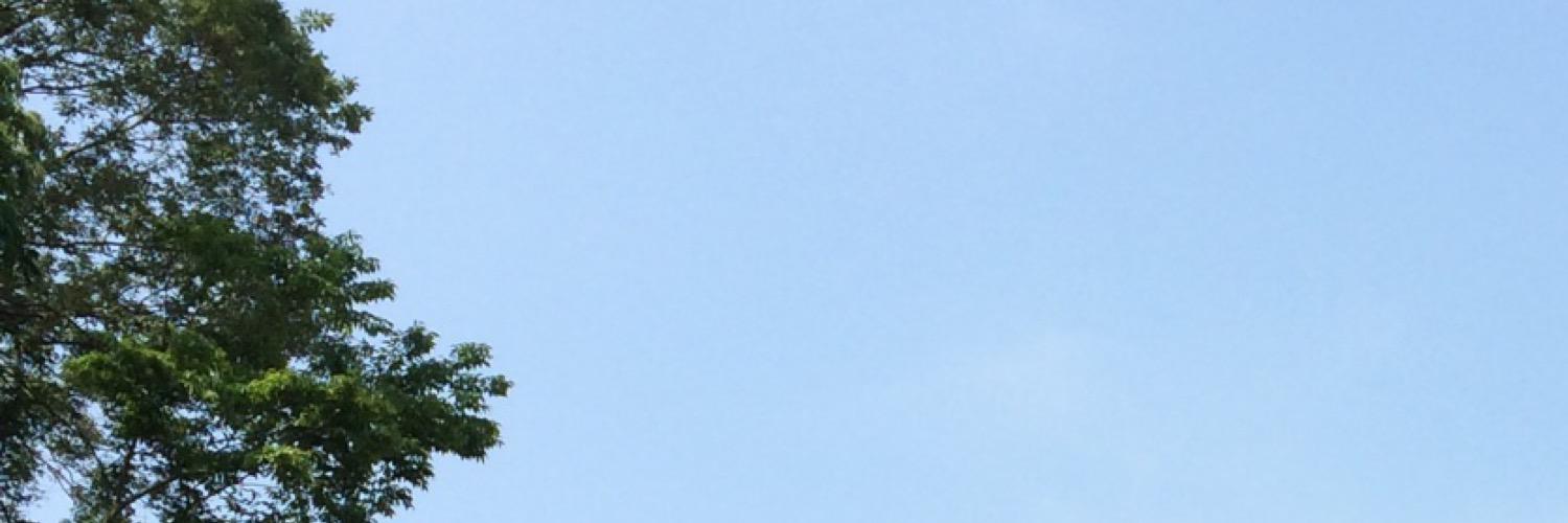 fcfaleph58931's profile banner image
