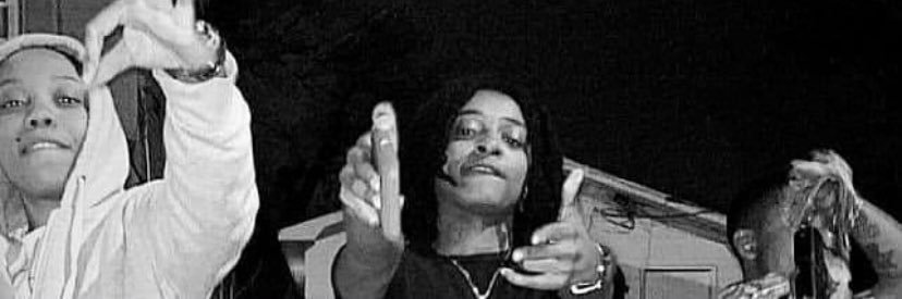 avohoe's profile banner image