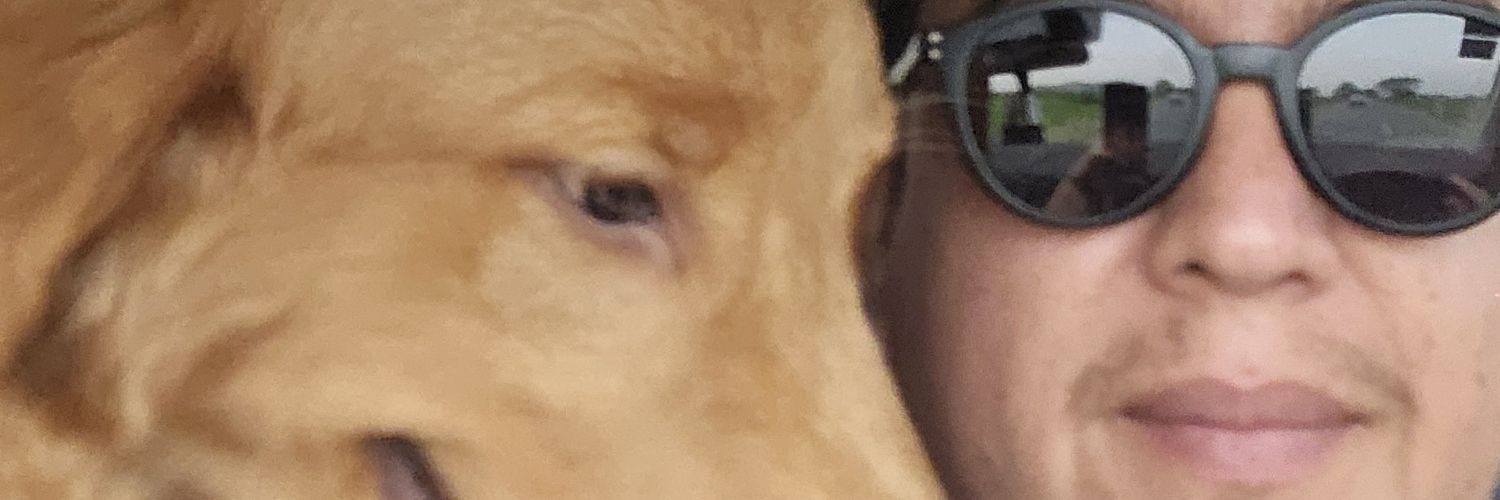 nesdarv's profile banner image