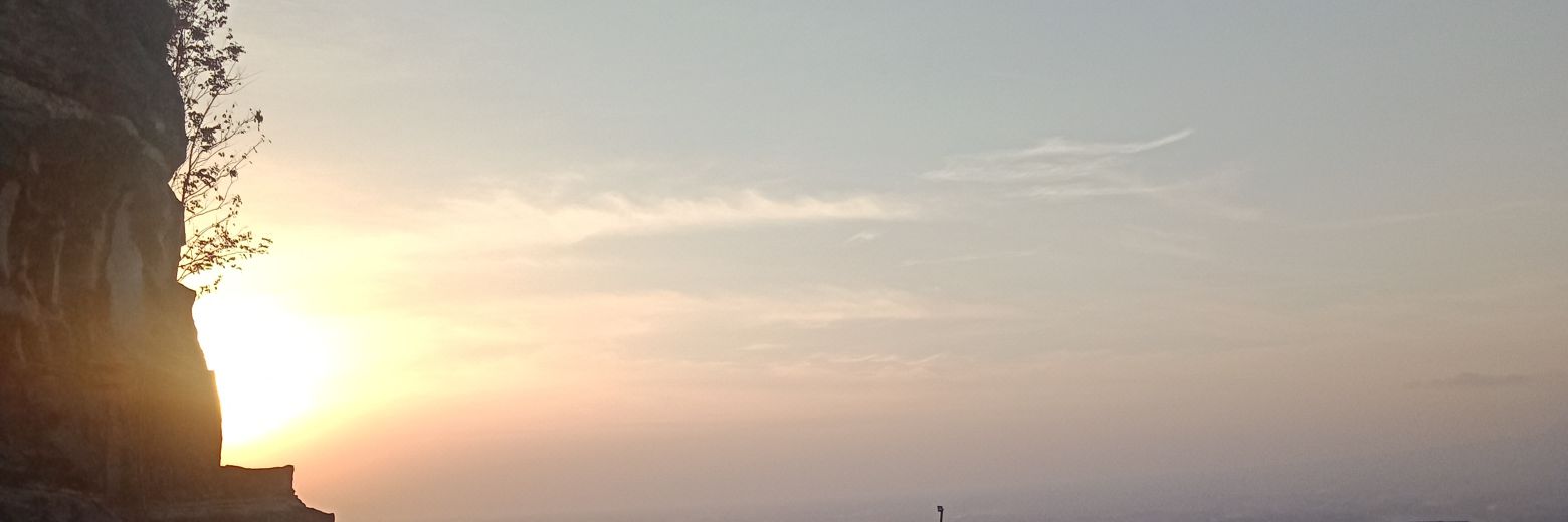 walidoji's profile banner image