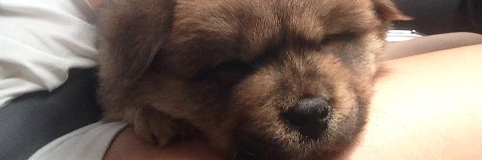 ColeenDayday's profile banner image