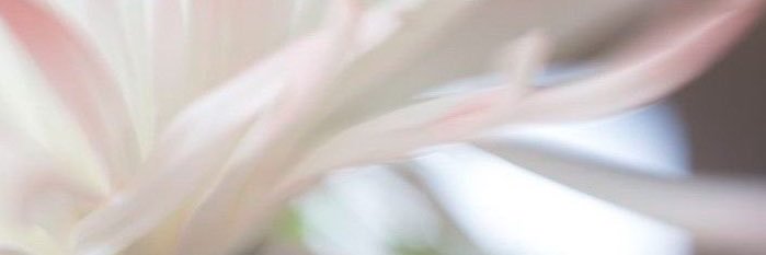 cwatharina's profile banner image