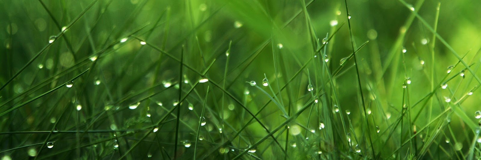 drdpsantanu's profile banner image
