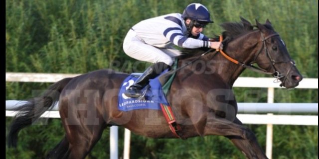 Sean Corby banner
