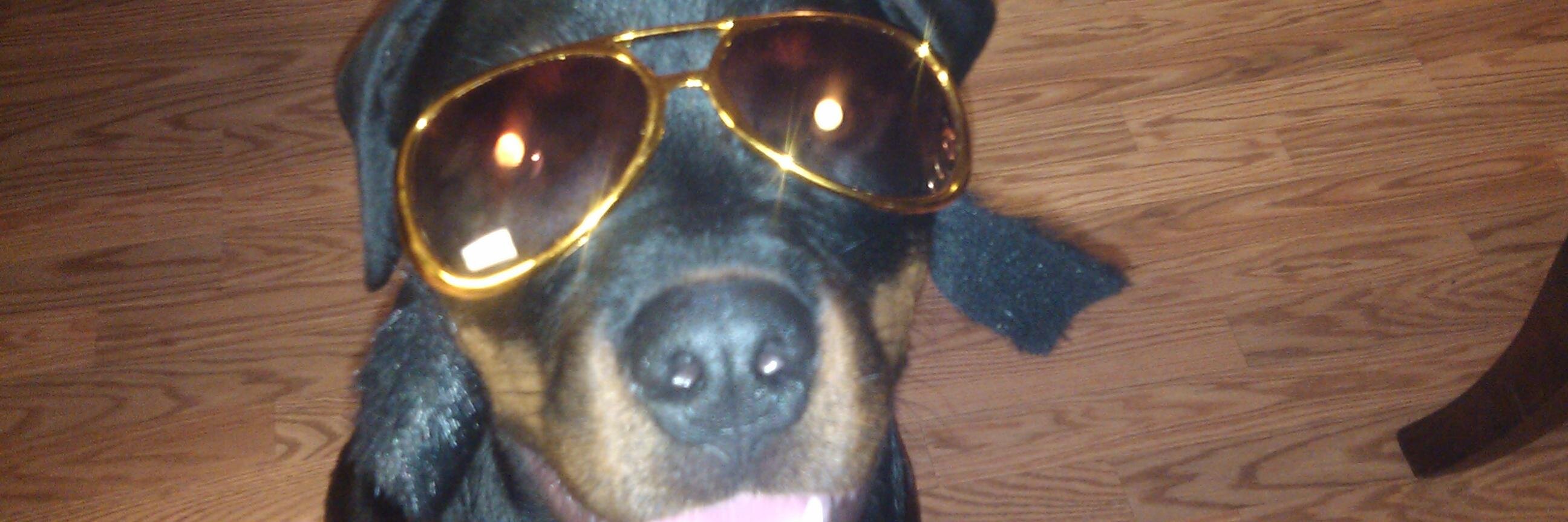 Nativebeaver1's profile banner image