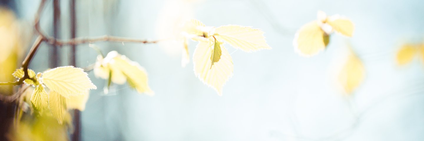 cnd_solis's profile banner image