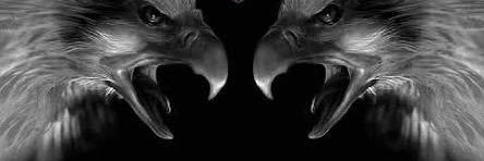 aergeus's profile banner image