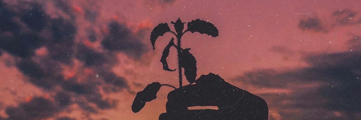 1699x08's profile banner image
