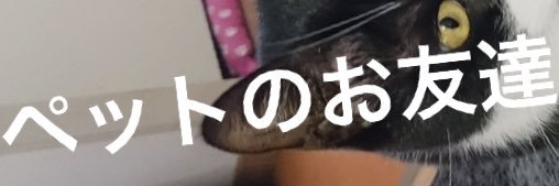 qbit10's profile banner image