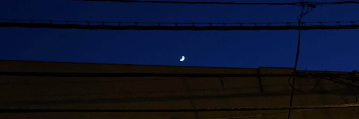 sunflwersky's profile banner image