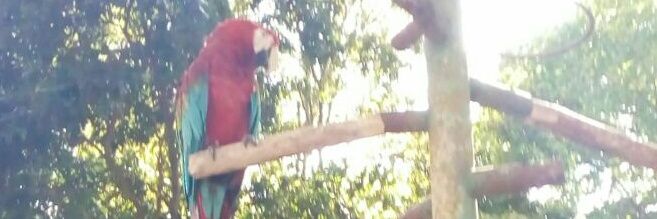 GNazareth Franco💫💬 banner