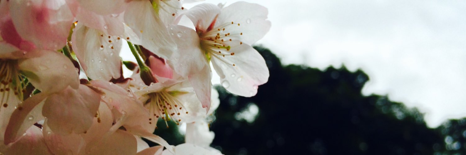 kwb328's profile banner image