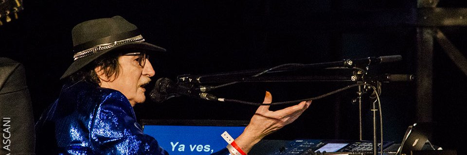 CynAscani's profile banner image