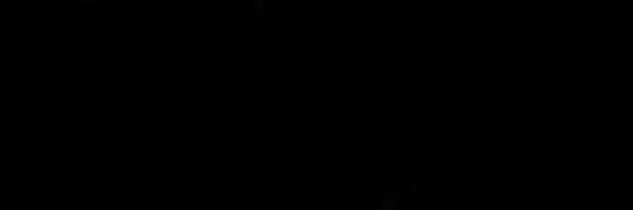 ca_j5's profile banner image