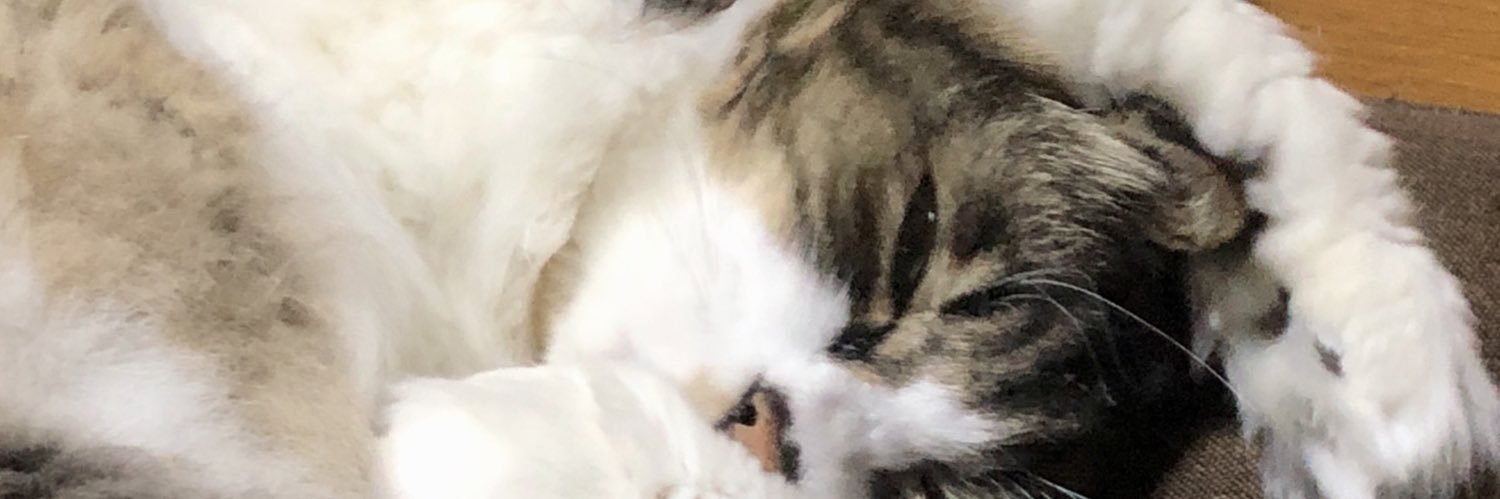 dareka3's profile banner image
