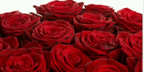 ekram2296's profile banner image