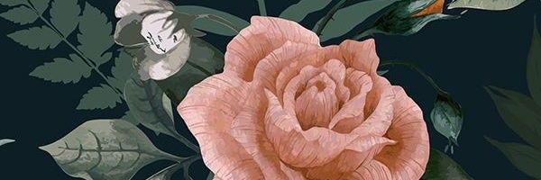🌺𝕄𝕚𝕔𝕙𝕖𝕝𝕒🌺🐶🐱 🇮🇹 banner