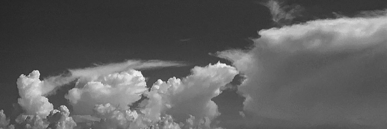 0905_ho's profile banner image