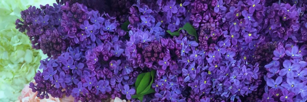 pentempleton's profile banner image